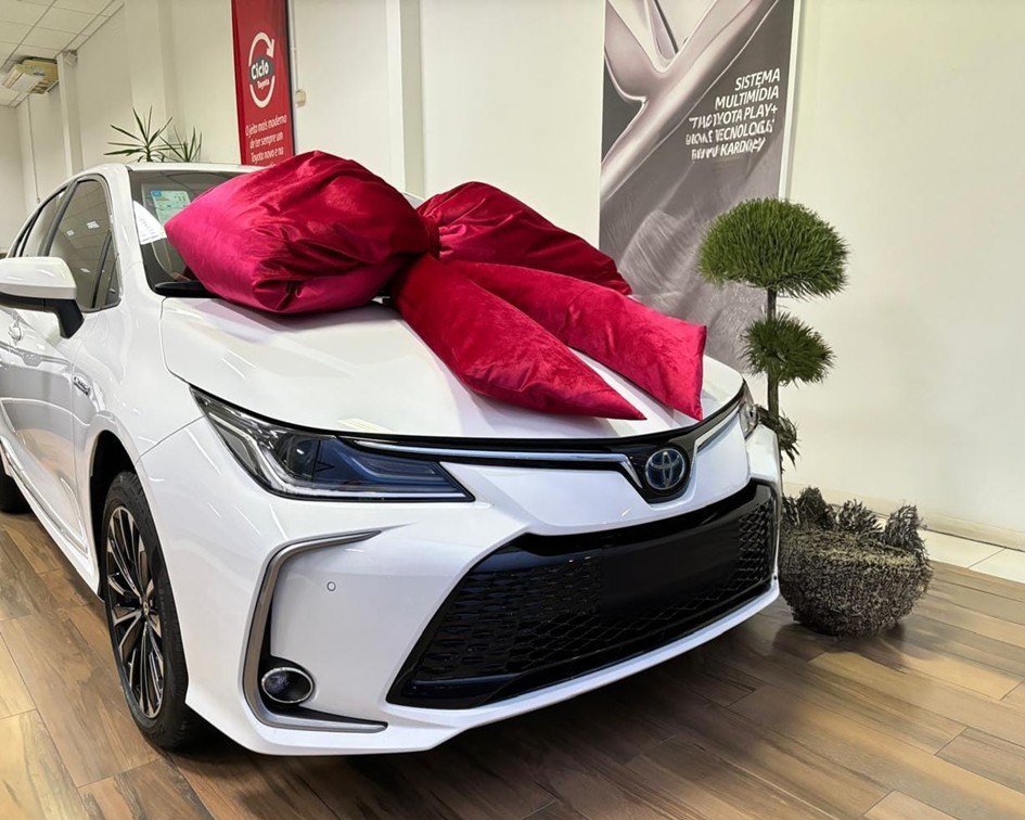 Gold Coast Transfer - Transporte e Turismo - Floriánopolis - Santa Catarina (7).JPG